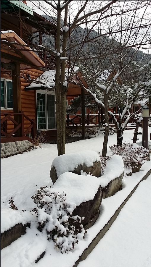 20141211_112436.jpg