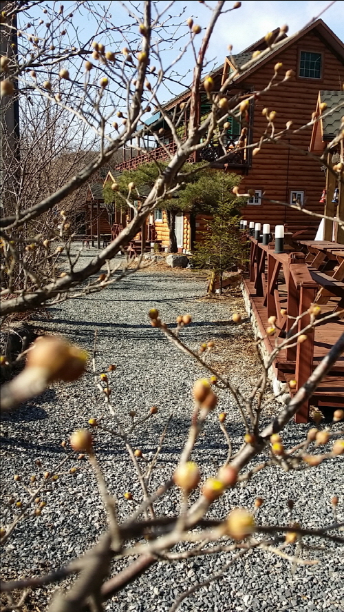 ũ⺯ȯũ⺯ȯ20150302_153158.jpg