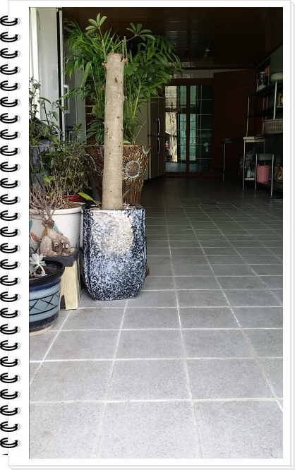 ²Ù¹Ì±â_20150404_123358.jpg