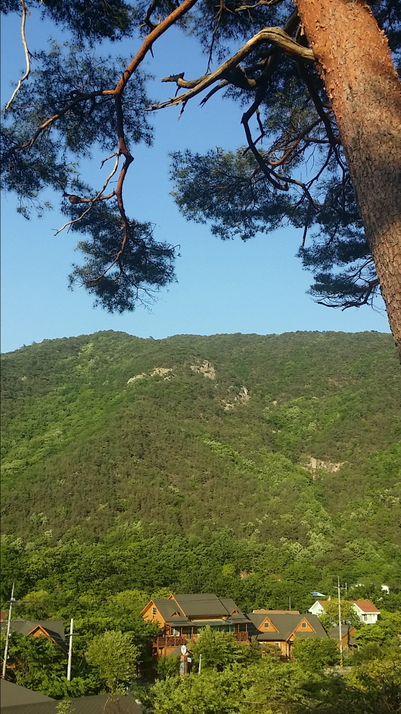 ٹ̱_20140508_174356.jpg