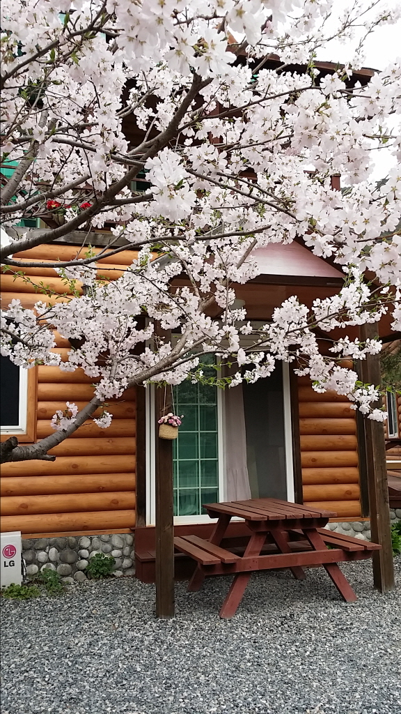 ٹ̱_20150404_140321.jpg