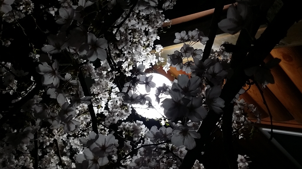 ٹ̱_20150411_211843.jpg