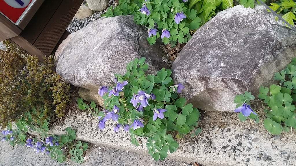 ٹ̱_20150416_163919.jpg