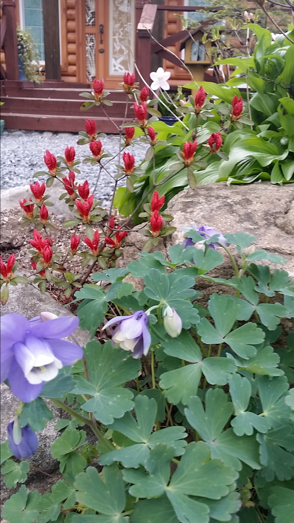ٹ̱_20150416_164909.jpg