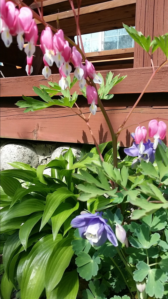 ٹ̱_20150418_145201.jpg