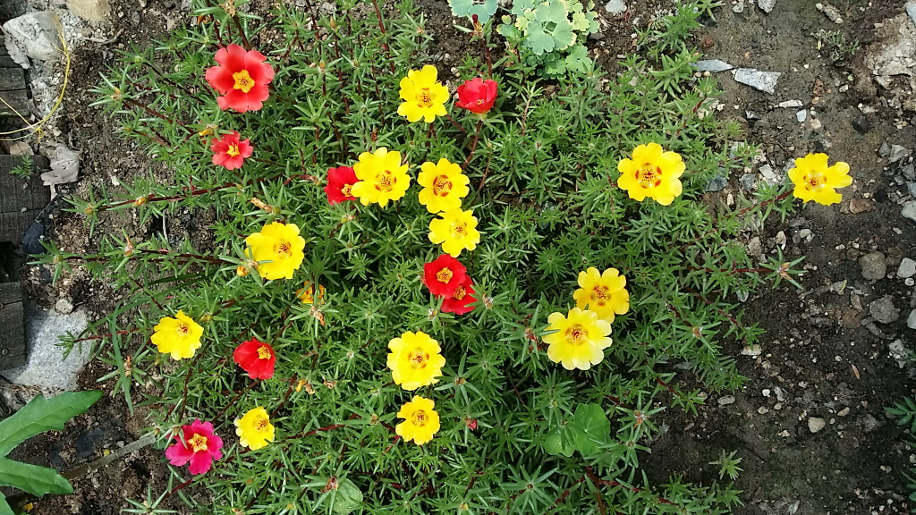ٹ̱_20150624_121117.jpg