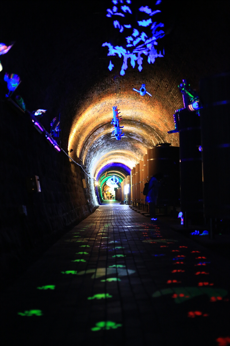 ٹ̱_SEO_5358.jpg