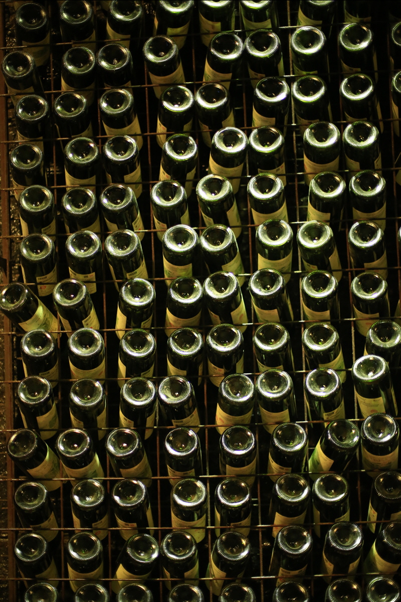 ٹ̱_SEO_5343.jpg