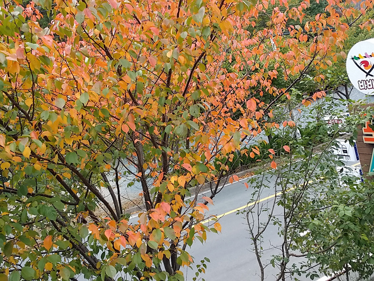 20171022_131017.jpg