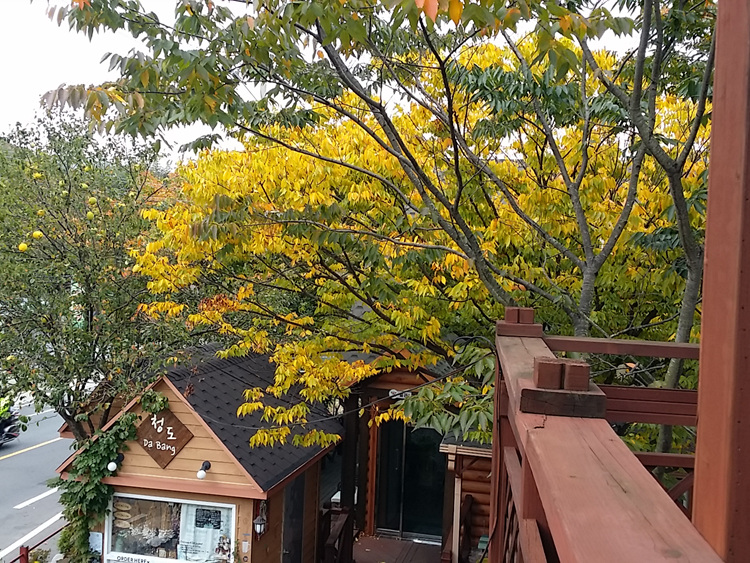 20171022_131035.jpg